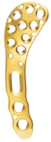 Hofer_Medical_Solutions_Clavicula_superolateral
