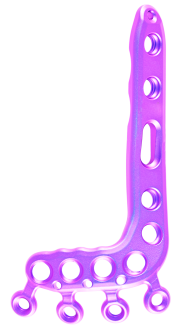 Hofer_Medical_Solutions_Tibia_dis_Anterolateral